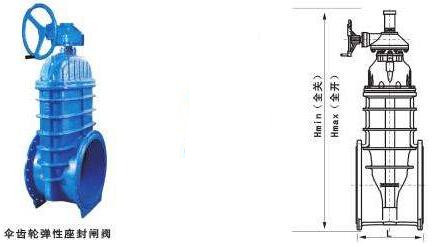 1-1FQQ54519100.jpg